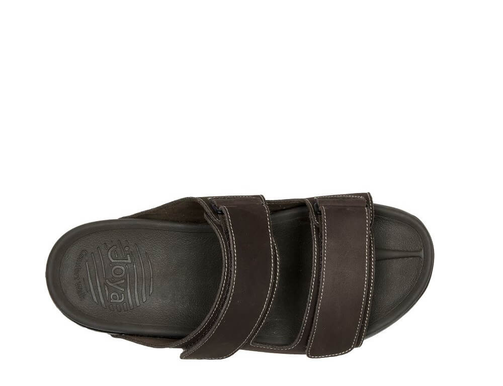 Max II Brown