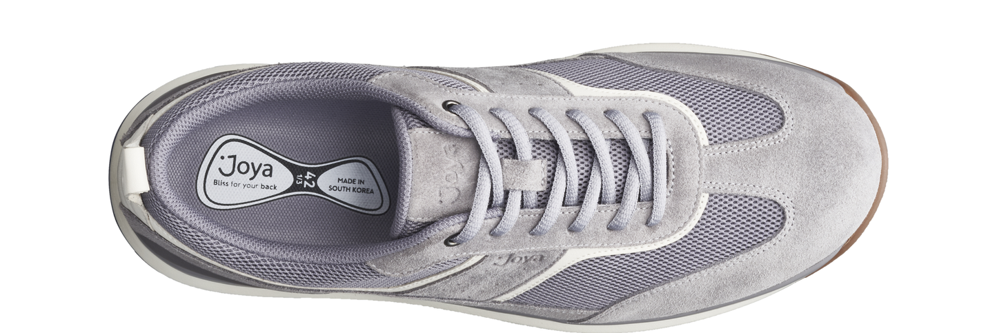 David II grey