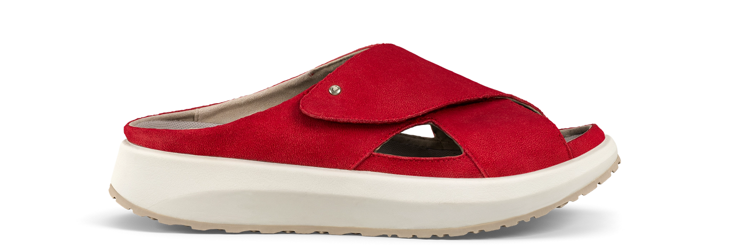 Alicante Red