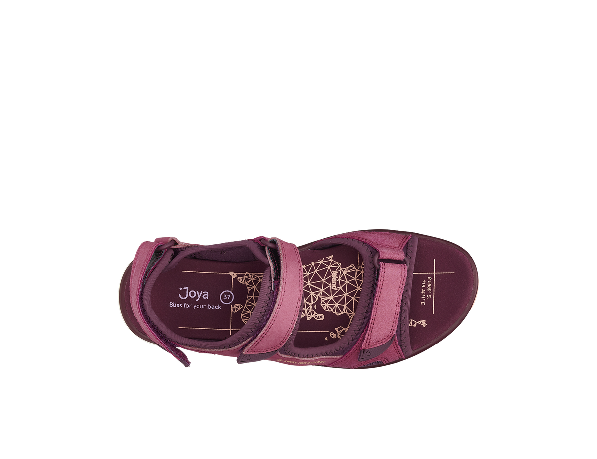 Komodo Violet