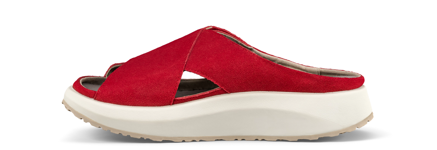 Alicante Red
