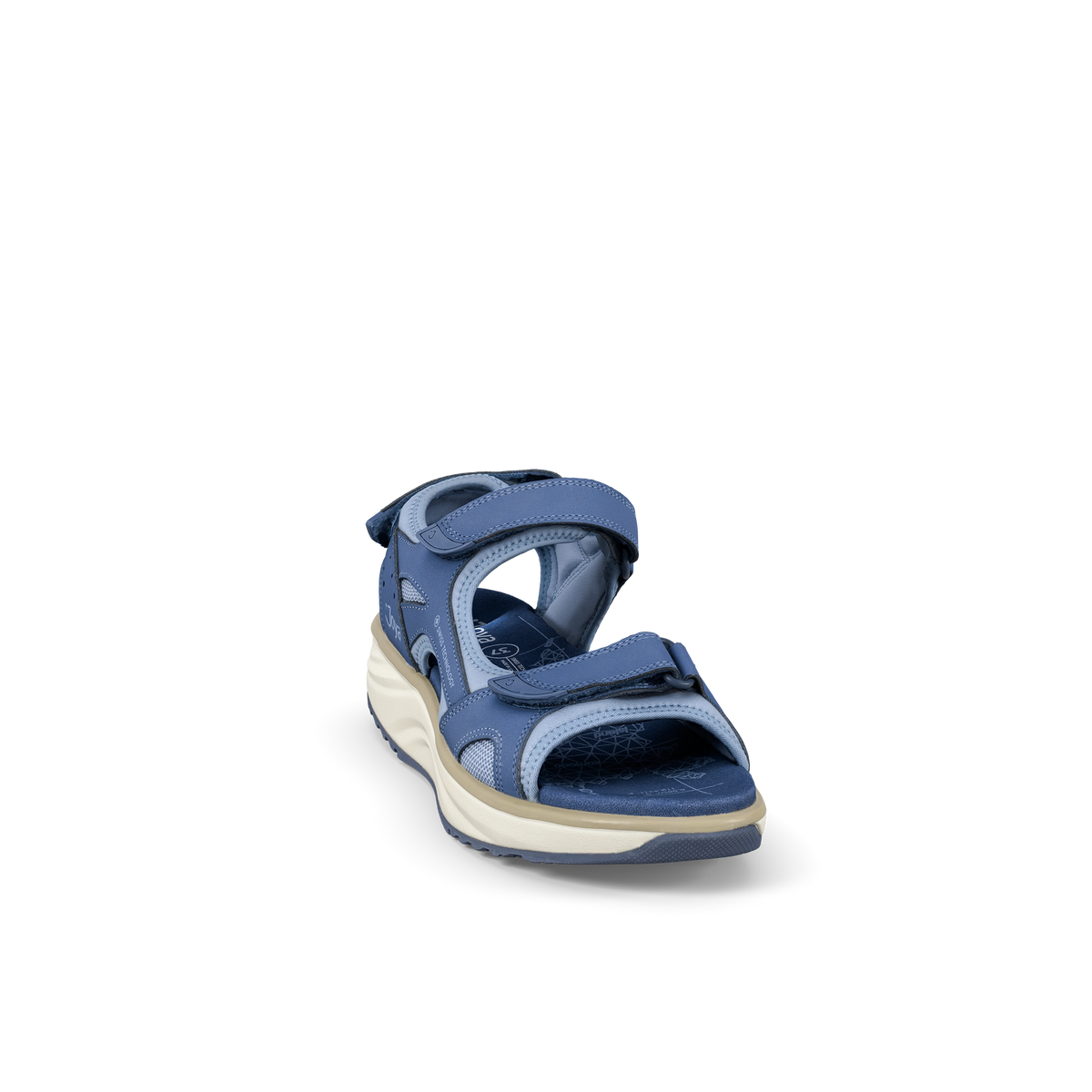Komodo Blue