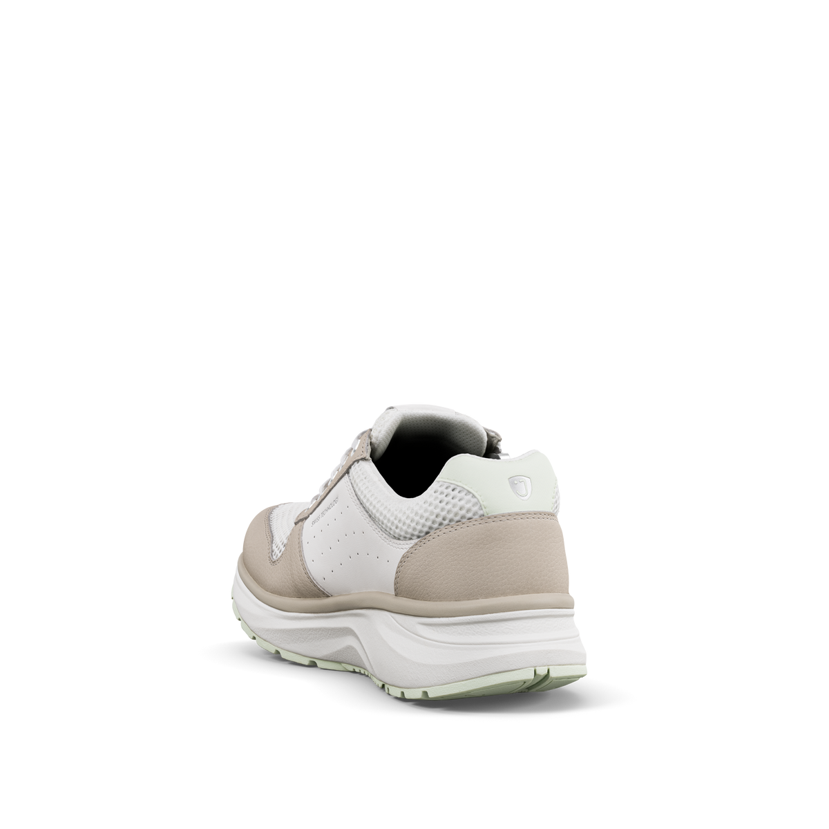 Dynamo Zip white-green