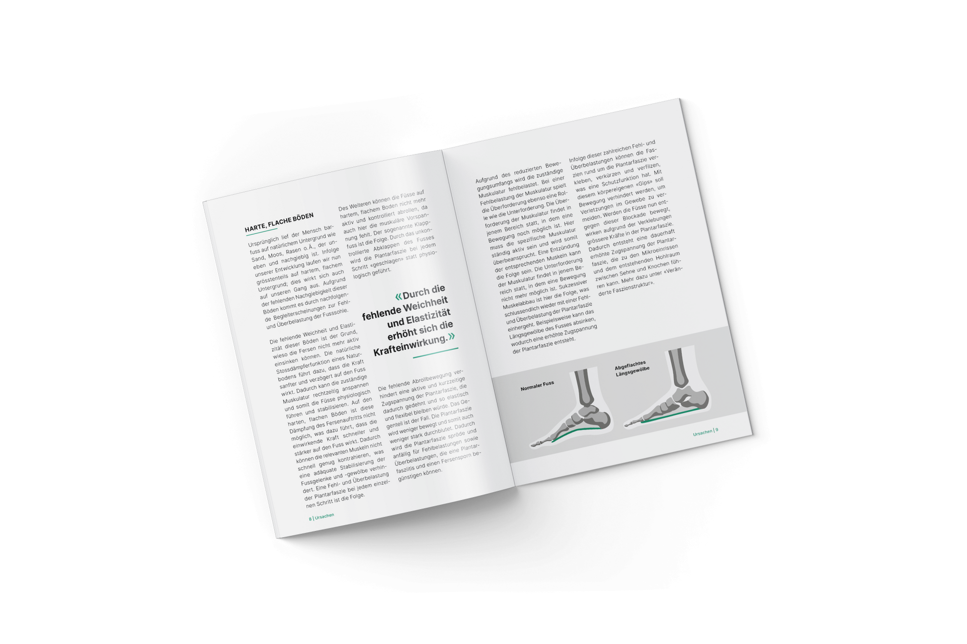 Fersensporn und Plantarfasziitis